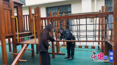 勾当以“总体不雅”为切入点