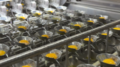 C22000取ISO22000（食物平安办理系统）：从鲜鸡蛋选