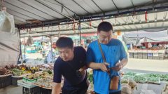 专项抽取高风险产物