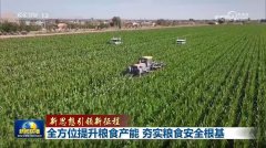 快于客岁同期